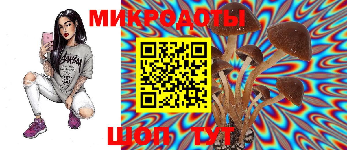 Псилоцибиновые грибы Cubensis  Вход с VPN  Бахчисарай 